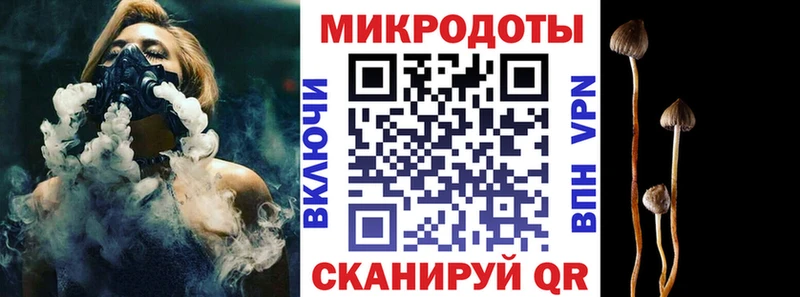 как найти   Сретенск  Псилоцибиновые грибы мицелий 
